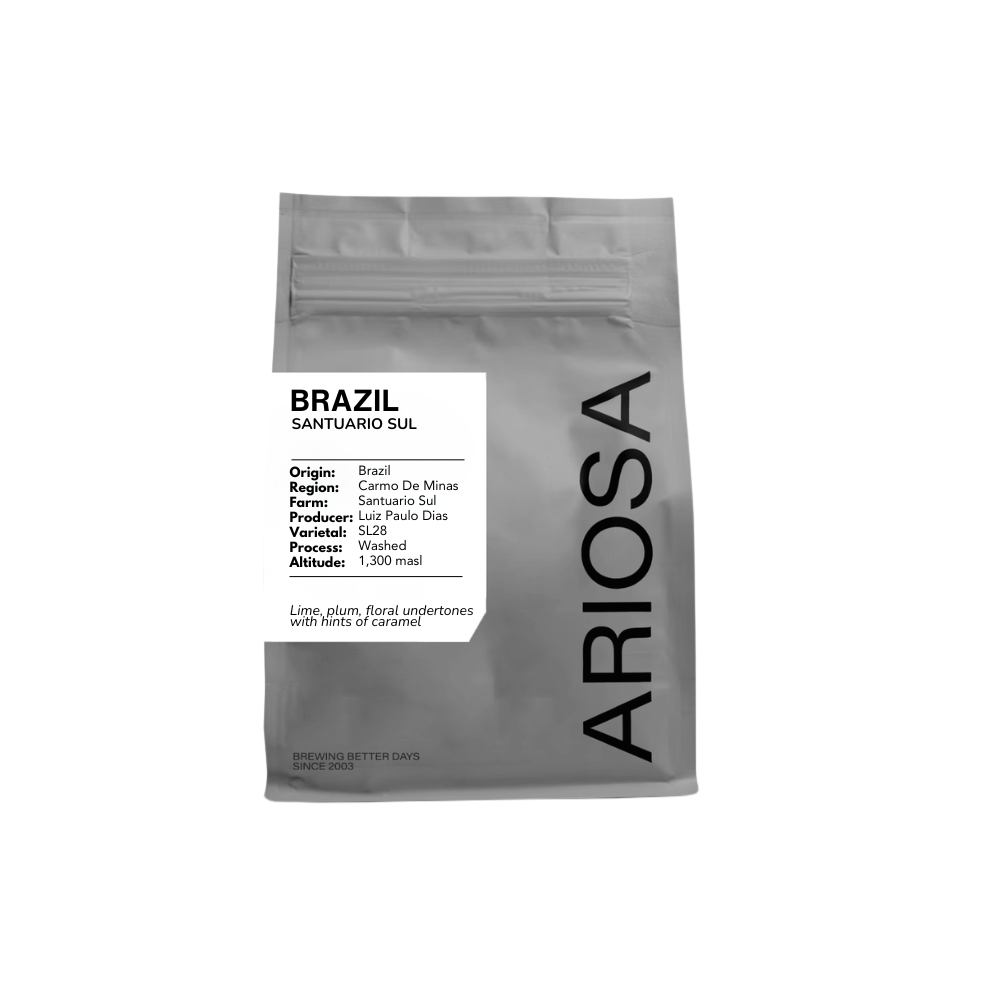 Brazilian microlot from Fazenda Santuario Sul